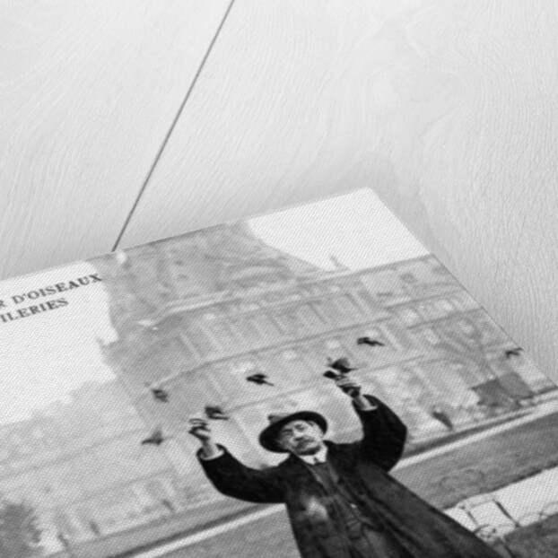 Le Charmeur D'Oiseaux Des Tuileries by Anonymous