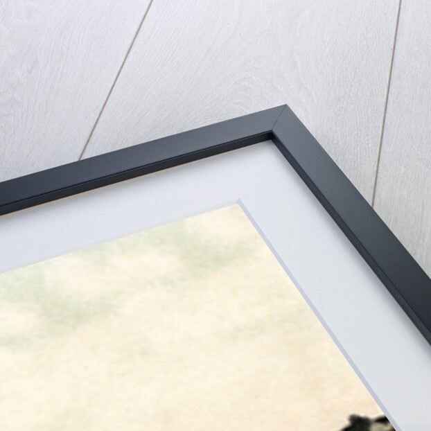 Rock from La Pedrera, Gibraltar by Anonymous