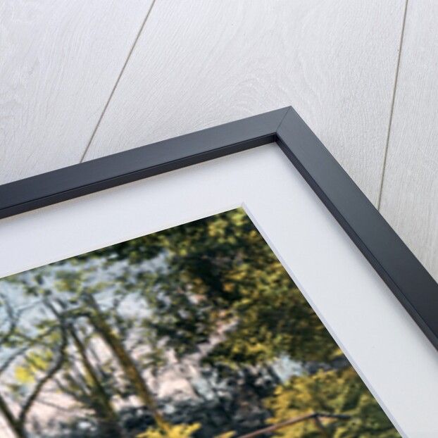 Glen Morag, Dunoon by Anonymous