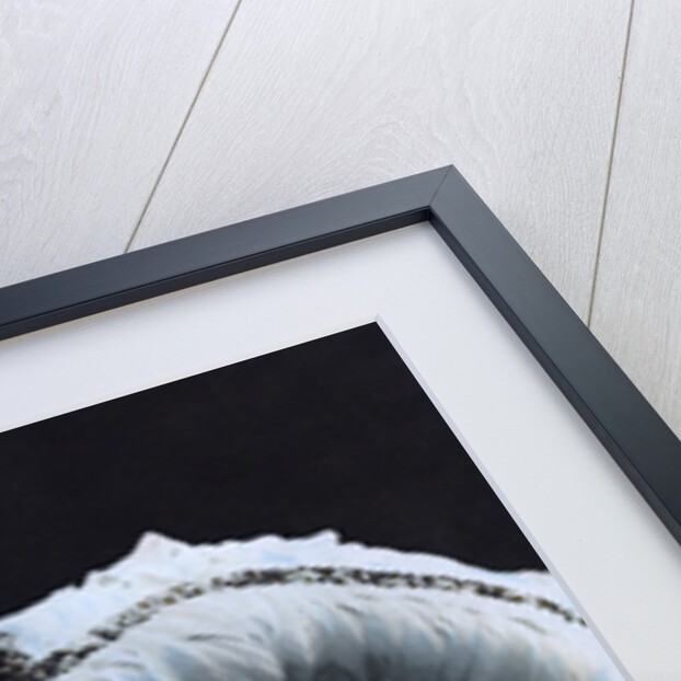 Paule Delys, theatre actress by Walery