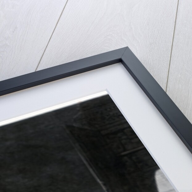 Newton investigating light by William Mouat Loudan