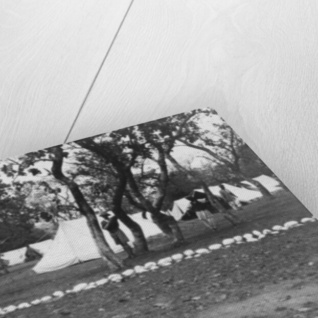 British army encampment by the Yamuna river, India by Anonymous