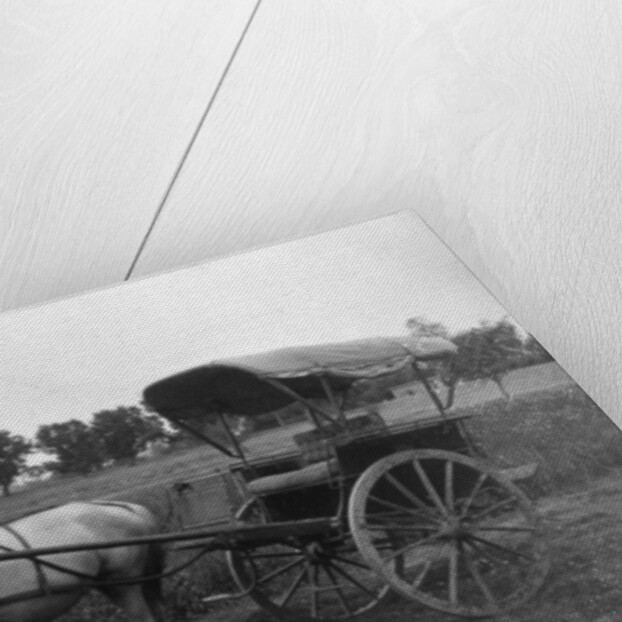 Tonga (horse cart), Muttra, India by Anonymous