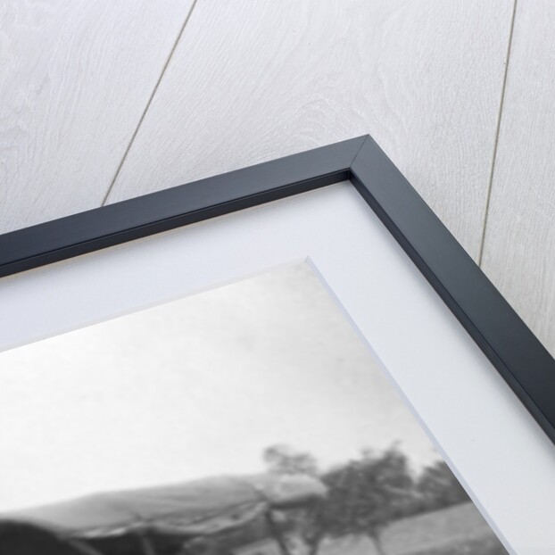 Tonga (horse cart), Muttra, India by Anonymous