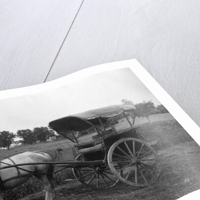 Tonga (horse cart), Muttra, India by Anonymous