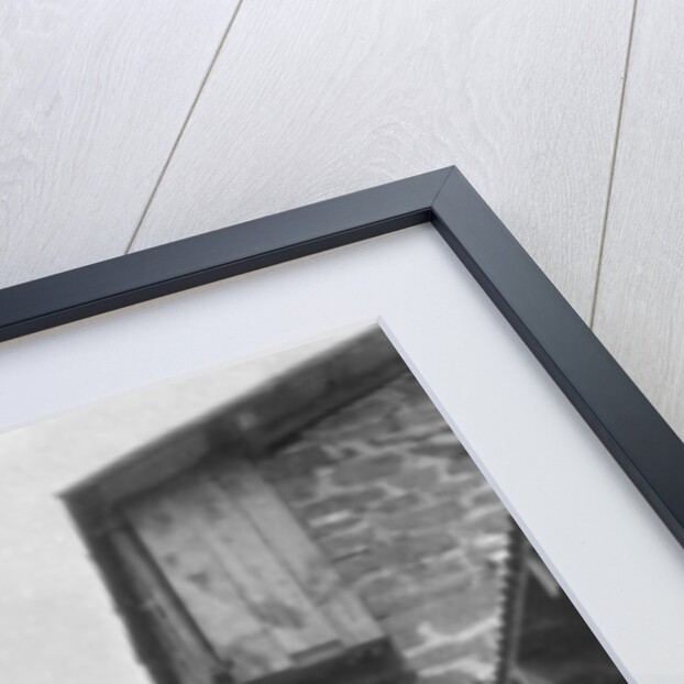 Steps leading to the kailana bazaar, India by Anonymous