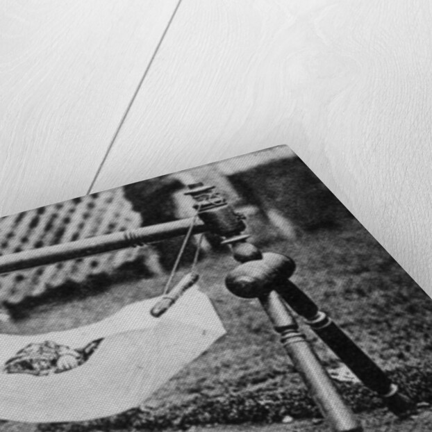 Hindu baby and cradle, India by Anonymous