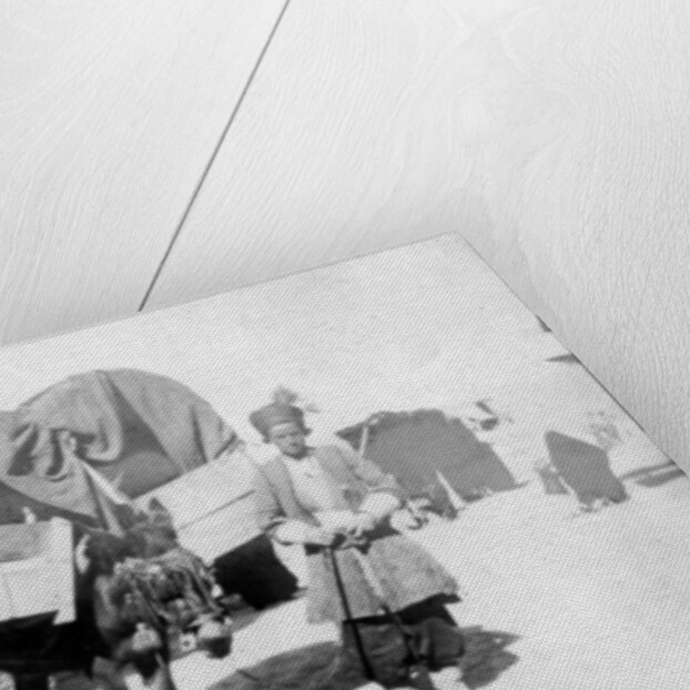 Persian donkey transport, Baghdad, Iraq by Anonymous