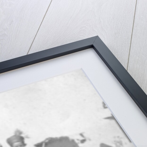 Persian donkey transport, Baghdad, Iraq by Anonymous