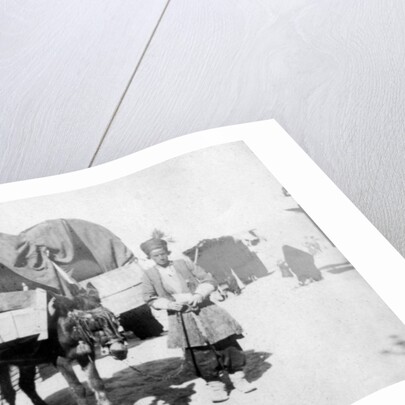 Persian donkey transport, Baghdad, Iraq by Anonymous