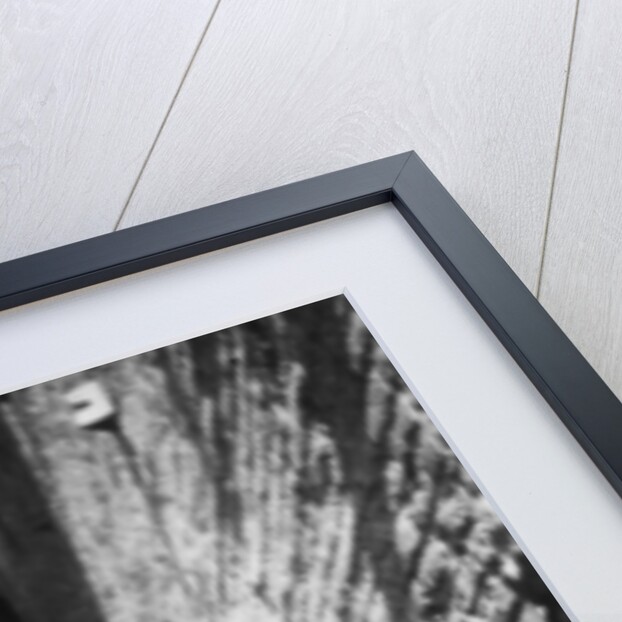 Arab woman, Iraq by Anonymous