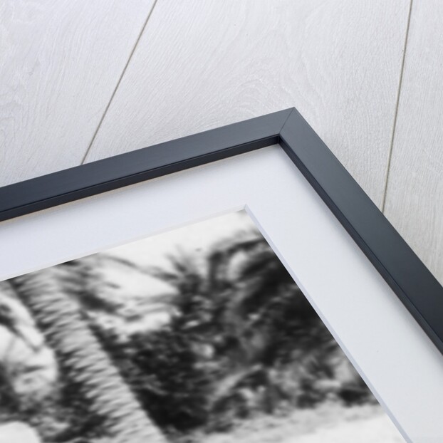 Arab woman and child by Anonymous