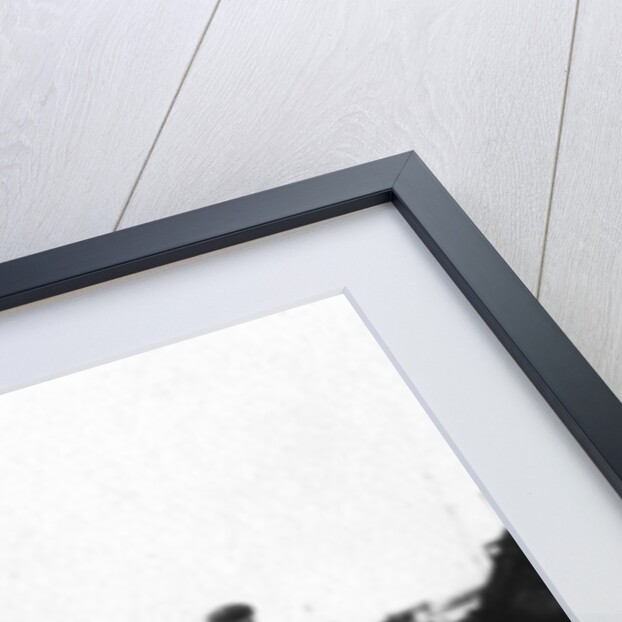 Female water carriers, Amarah, Iraq by Anonymous