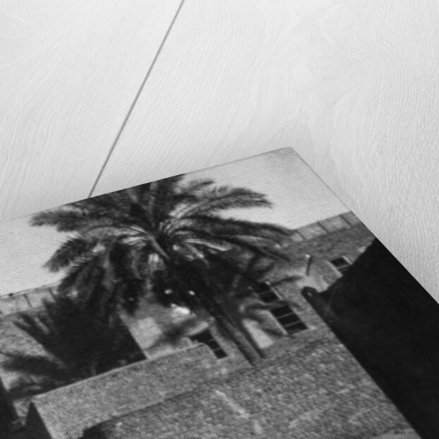 Kazimain, Iraq by Anonymous