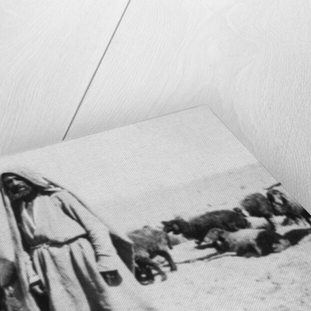 Arab shepherd, Kazimain area, Iraq by Anonymous