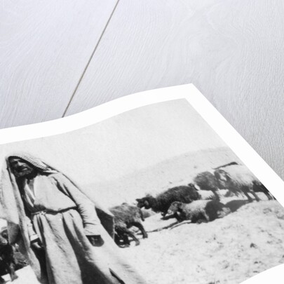 Arab shepherd, Kazimain area, Iraq by Anonymous
