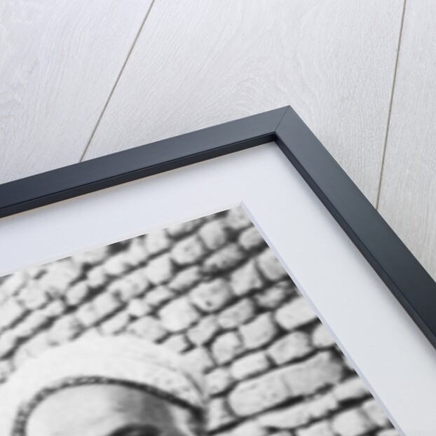 Baghdad, Iraq by Anonymous