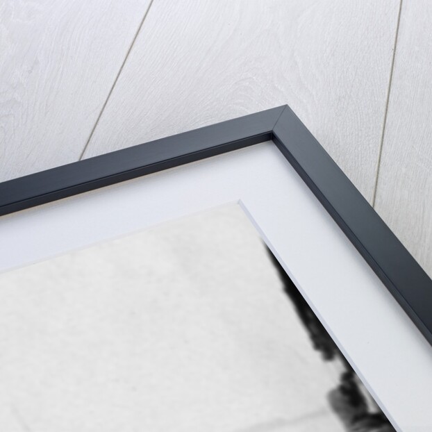 Tigris River, Baghdad, Iraq by Anonymous