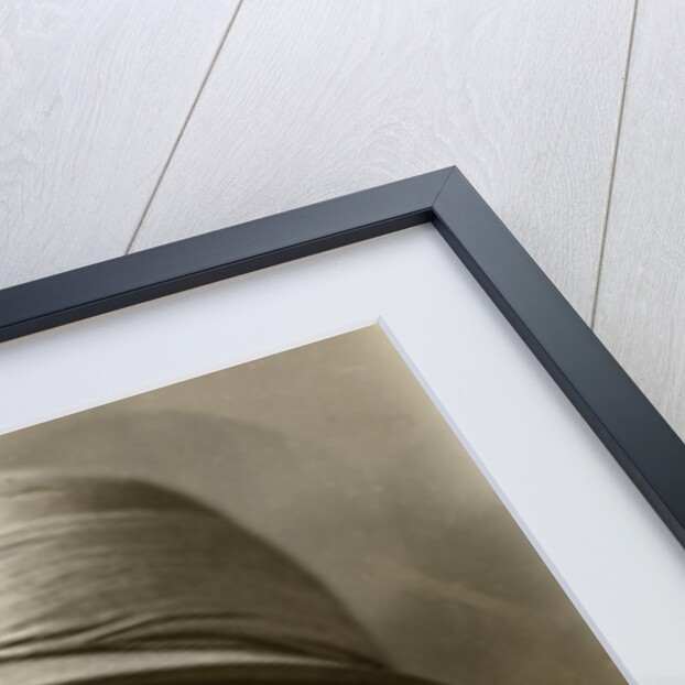 Private Lacey, 5th East Surrey regiment, Chakrata, India by Anonymous