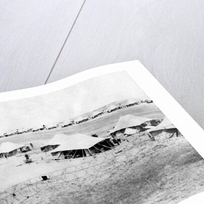 1/5 RWR battalion camp, Samarra, Mesopotamia by Anonymous