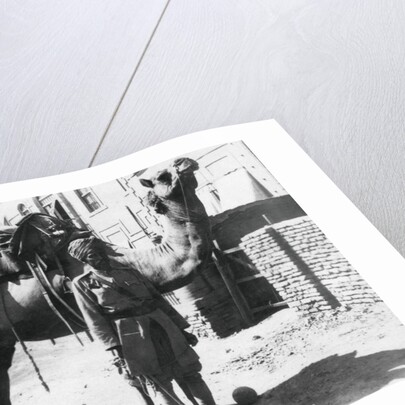Indian camel trooper, Baghdad by Anonymous