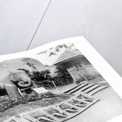 Elephant statue, Victoria Gardens, Bombay, India by Anonymous