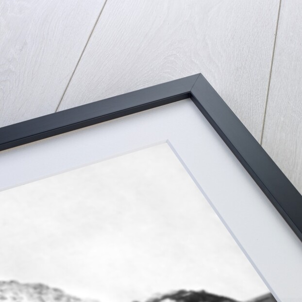 The Marina, Capri, Italy by John L Stoddard