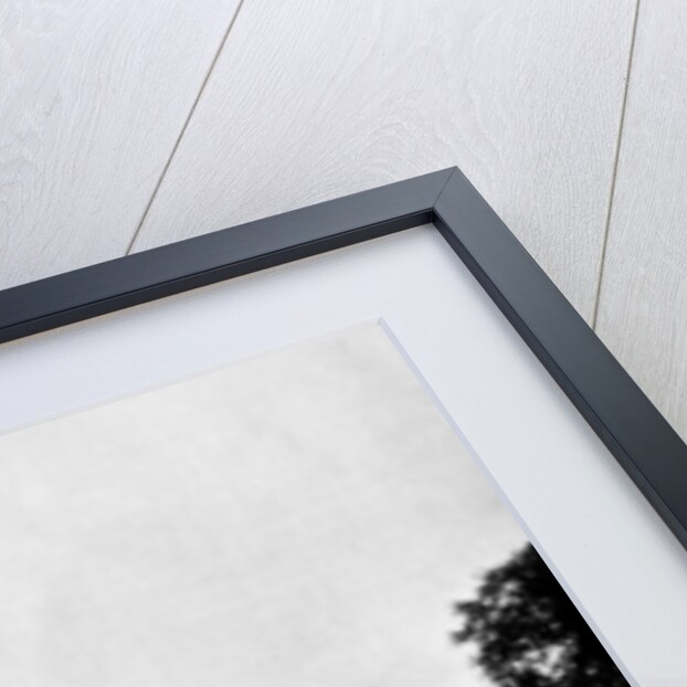 Churchyard of Stoke-Pogis, England by John L Stoddard