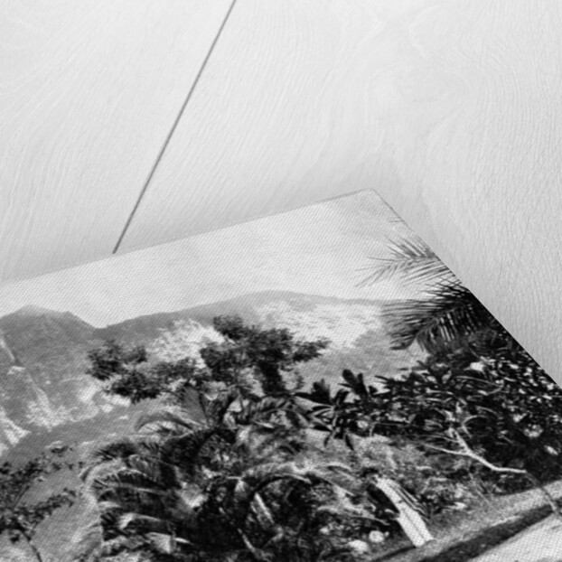 Botanical Gardens and Mount Corcovado, Rio De Janeiro, Brazil by John L Stoddard