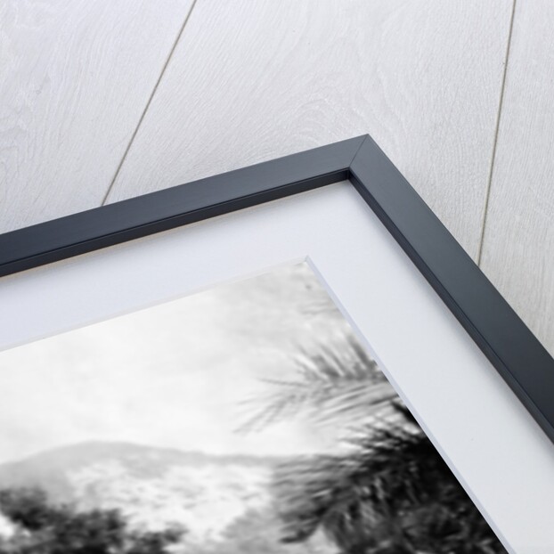 Botanical Gardens and Mount Corcovado, Rio De Janeiro, Brazil by John L Stoddard