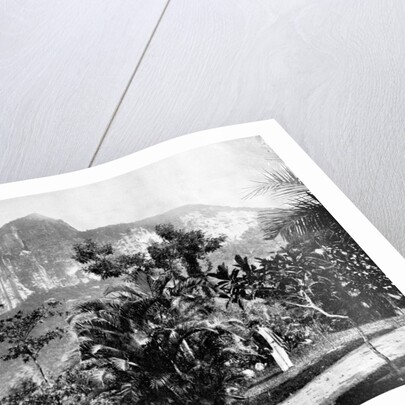 Botanical Gardens and Mount Corcovado, Rio De Janeiro, Brazil by John L Stoddard