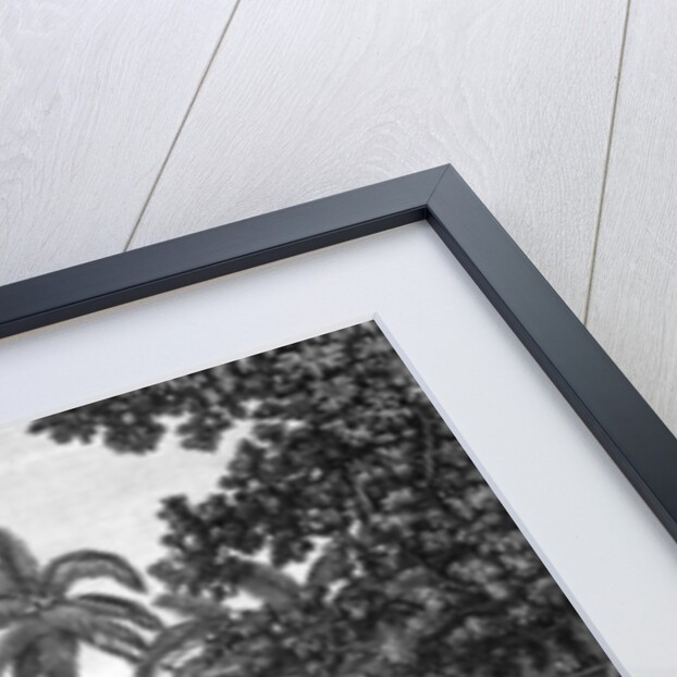 A Human Sacrifice in a Morai, in Otaheite; in the presence of Captain Cook by Anonymous