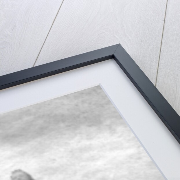 Queen Victoria's statue, College Green, Bristol by Joseph Edgar Boehm