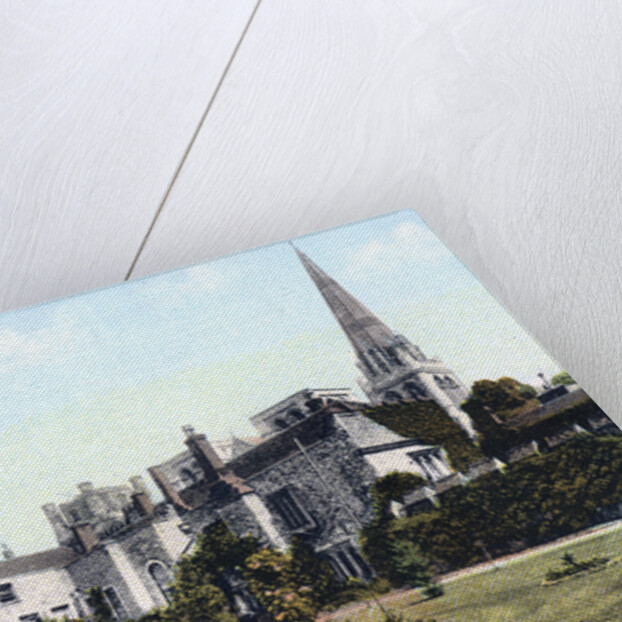 Palace Gardens, Chichester by Anonymous