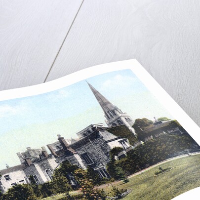Palace Gardens, Chichester by Anonymous