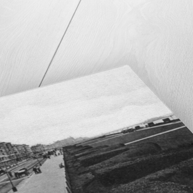 The lawns, Hove by Anonymous