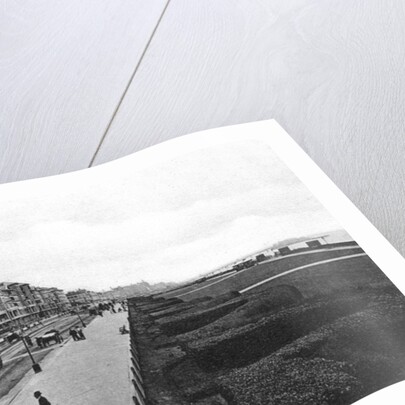 The lawns, Hove by Anonymous