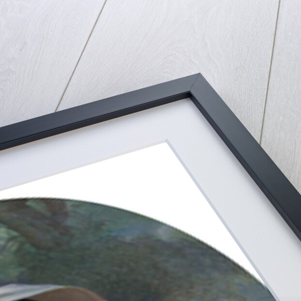 The Empress Eugenie by Franz Xaver Winterhalter