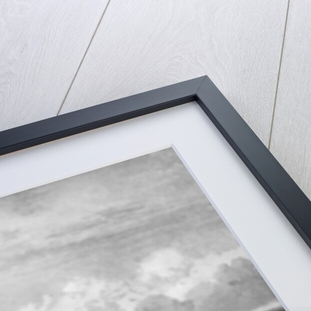 Queen Victoria reviewing her troops, Aldershot by Anonymous