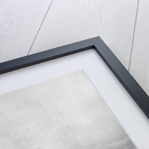 Queen Victoria firing the first shot at Wimbledon, July 1860 by Anonymous