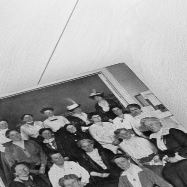 The international gathering of the women suffrage workers by Anonymous