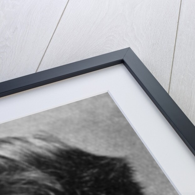 Augustus John, Welsh painter, draughtsman, and etcher by G C Beresford