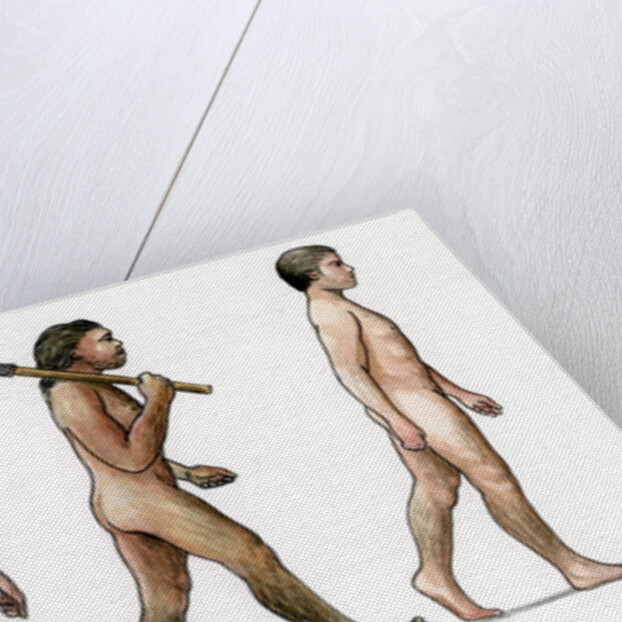 Evolution of Man by Karen Humpage