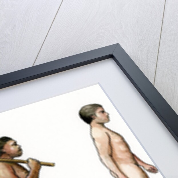 Evolution of Man by Karen Humpage