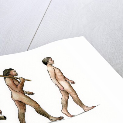 Evolution of Man by Karen Humpage