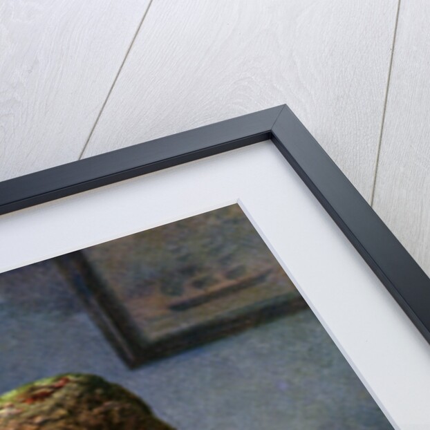 The Family Bible by Frederick Jasper