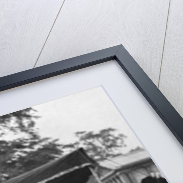 The coronation review by Anonymous