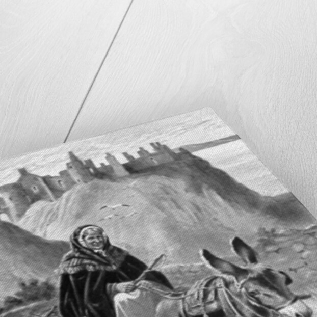 My Donkey an Me by John Carey