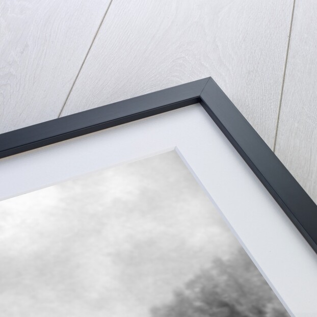 Sweet rusticity by Sprague & Co