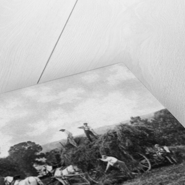 Haymaking by Sprague & Co